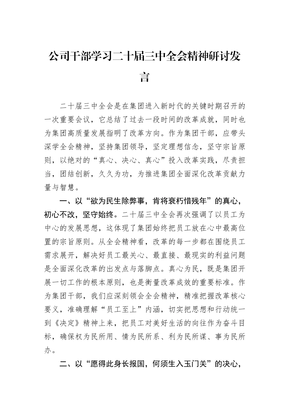 公司干部学习二十届三中全会精神研讨发言_第1页