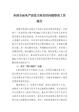 乡镇全面从严治党主体责任问题整改工作报告