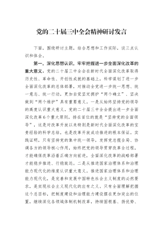 党的二十届三中全会精神研讨发言