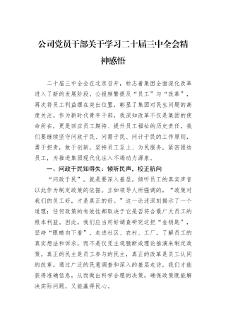 公司党员干部关于学习二十届三中全会精神感悟