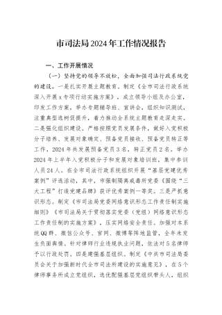 市司法局2024年工作情况报告