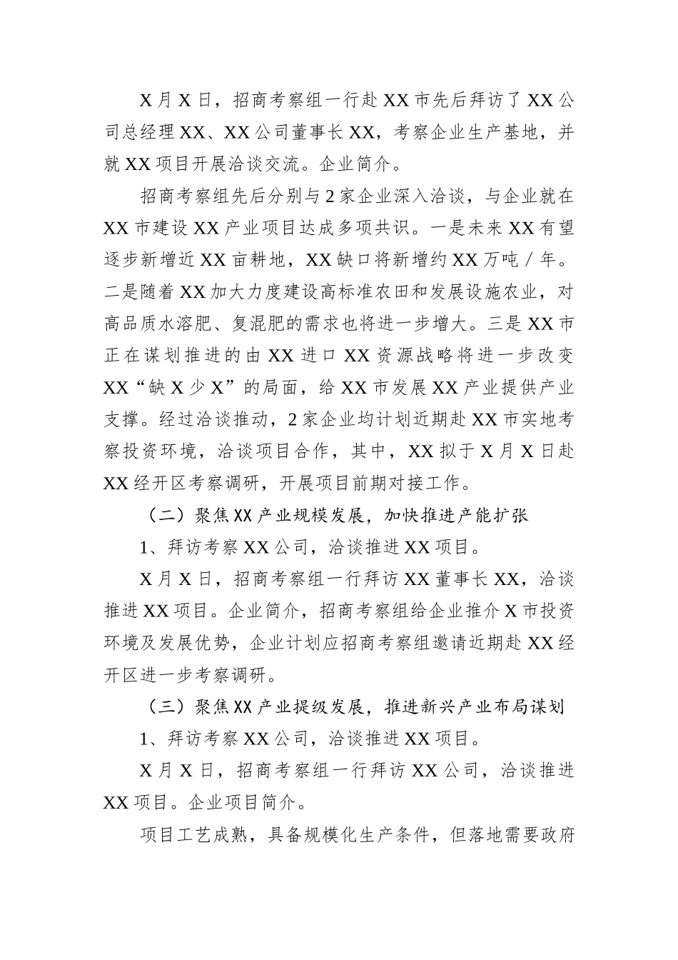 关于xx市领导外出招商引资考察的专题报告_第2页