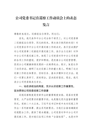 公司党委书记在巡察工作动员会上的表态发言