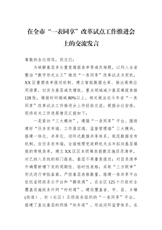 在全市“一表同享”改革试点工作推进会上的交流发言20240905