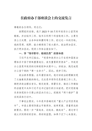 在政府办干部座谈会上的交流发言20240905