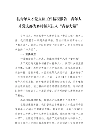 县青年人才党支部工作情况报告：青年人才党支部为乡村振兴注入“青春力量”