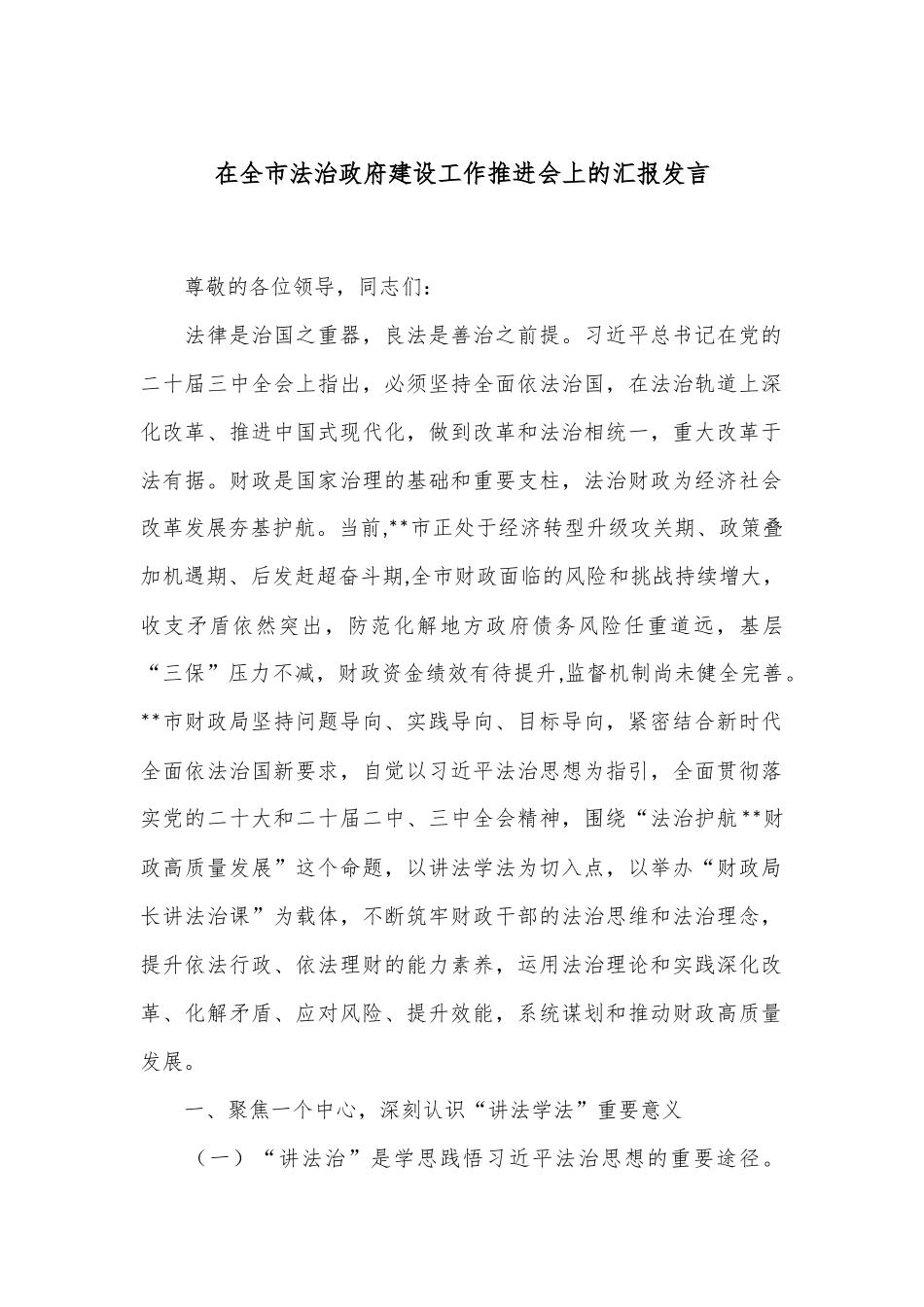 在全市法治政府建设工作推进会上的汇报发言_第1页