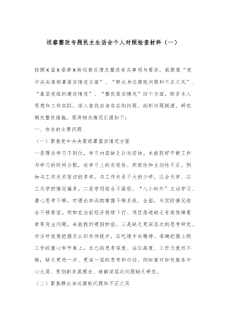 巡察整改专题民主生活会个人对照检查材料（一）
