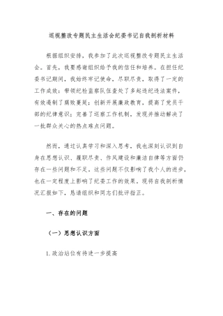 巡视整改专题民主生活会纪委书记自我剖析材料
