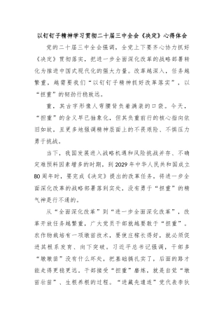 以钉钉子精神学习贯彻二十届三中全会《决定》心得体会