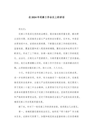 在2024年巡察工作会议上的讲话