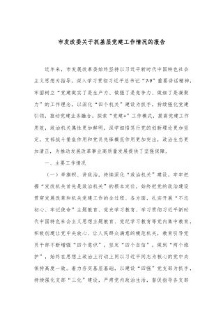 市发改委关于抓基层党建工作情况的报告