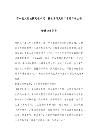 市中级人民法院党组书记、院长学习党的二十届三中全会精神心得体会