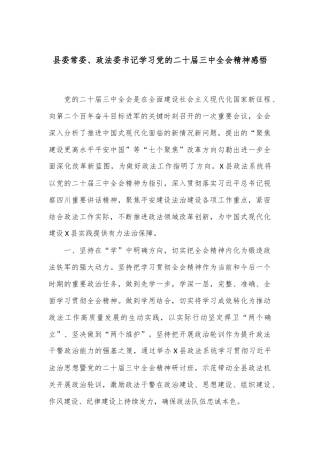 县委常委、政法委书记学习党的二十届三中全会精神感悟
