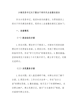 乡镇党委书记关于整治干部作风自查整改报告