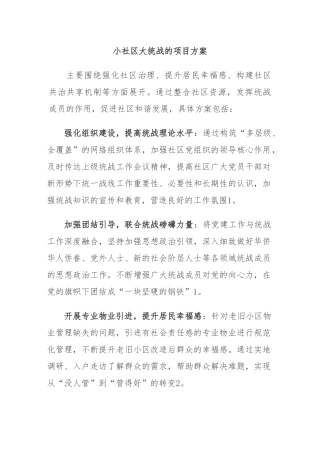小社区大统战的项目方案