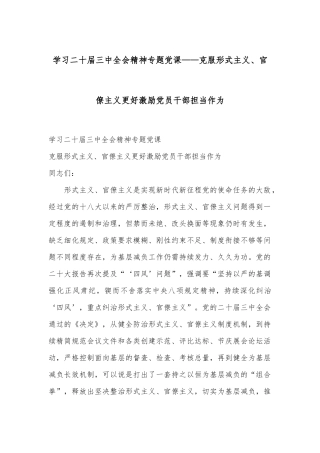 学习二十届三中全会精神专题党课——克服形式主义、官僚主义更好激励党员干部担当作为