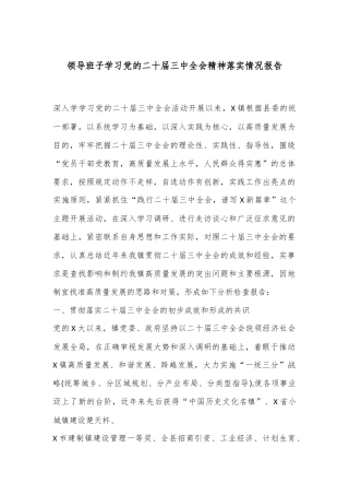 领导班子学习党的二十届三中全会精神落实情况报告