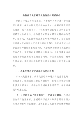 某县关于民营经济发展情况的调研报告