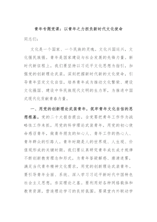 青年专题党课：以青年之力担负新时代文化使命