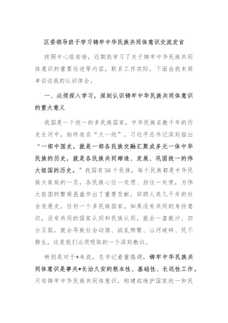 区委领导班子学习铸牢中华民族共同体意识交流发言