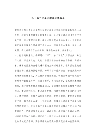 二十届三中全会精神心得体会