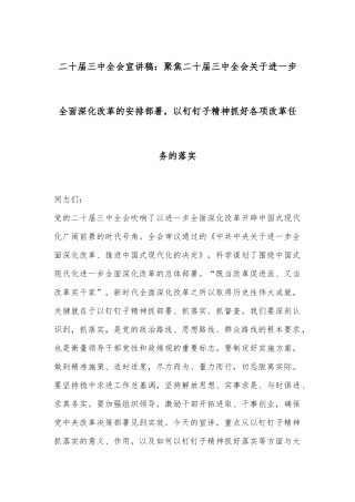 二十届三中全会宣讲稿：聚焦二十届三中全会关于进一步全面深化改革的安排部署，以钉钉子精神抓好各项改革任务的落实