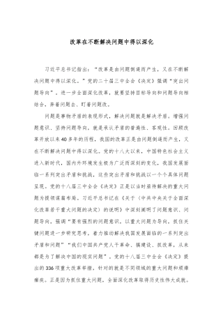 改革在不断解决问题中得以深化