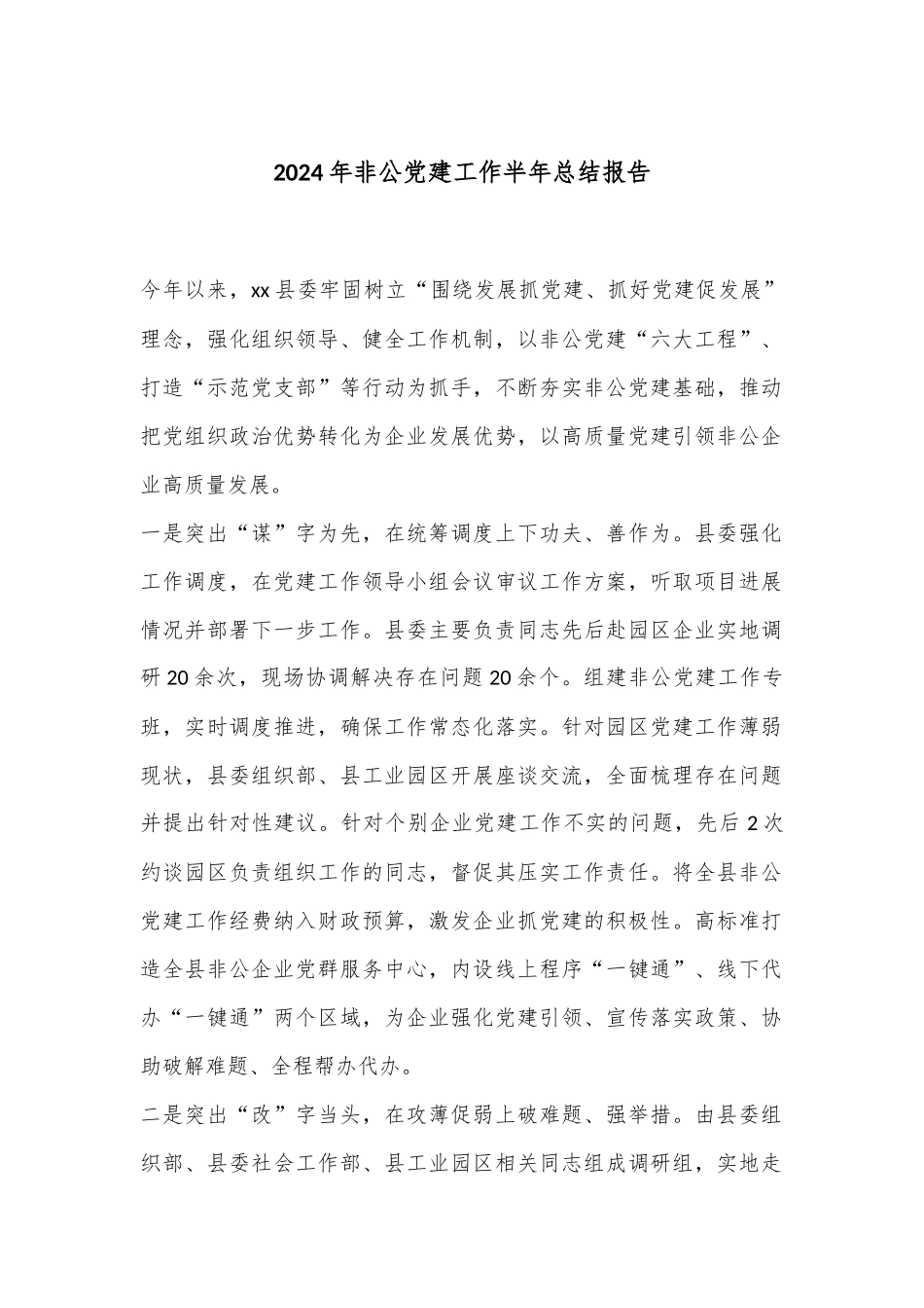 2024年非公党建工作半年总结报告_第1页