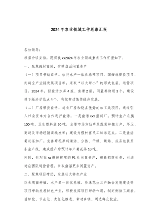 2024年农业领域工作思路汇报