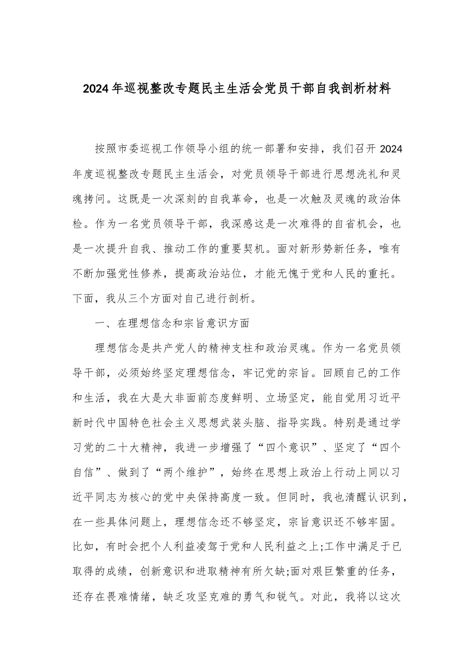 2024年巡视整改专题民主生活会党员干部自我剖析材料_第1页
