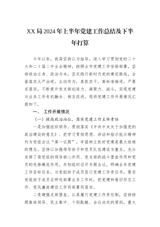 XX局2024年上半年党建工作总结及下半年打算
