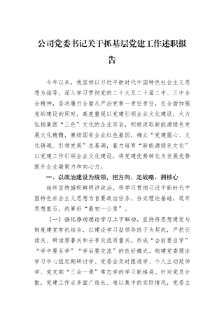 公司党委书记关于抓基层党建工作述职报告