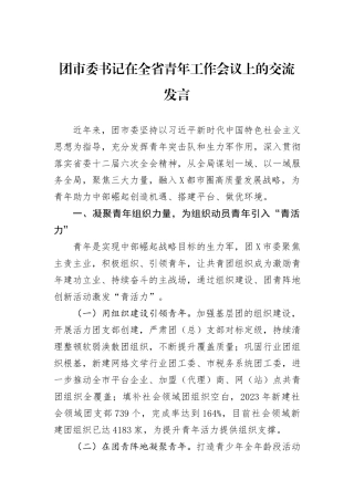 团市委书记在全省青年工作会议上的交流发言