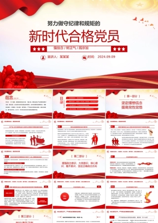 精美创意风2024努力做守纪律和规矩的新时代合格党员PPT下载