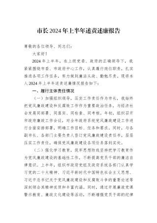 市长2024年上半年述责述廉报告