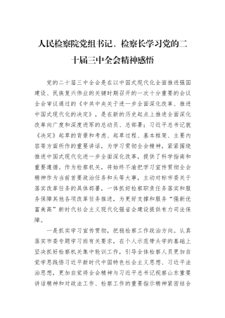 人民检察院党组书记、检察长学习党的二十届三中全会精神感悟