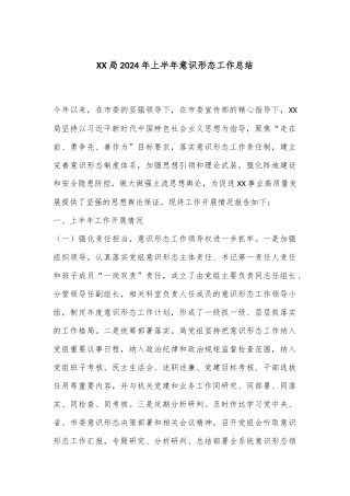 XX局2024年上半年意识形态工作总结