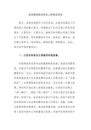 在巡视进驻动员会上的表态发言