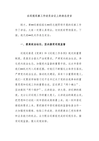 在巡视巡察工作动员会议上的表态发言