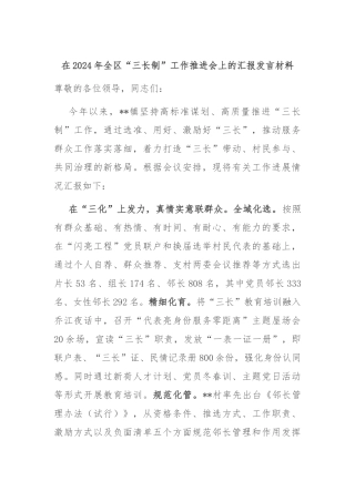 在2024年全区“三长制”工作推进会上的汇报发言材料