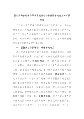 县公安局在纪律作风巩固提升行动阶段性推进会上的汇报发言