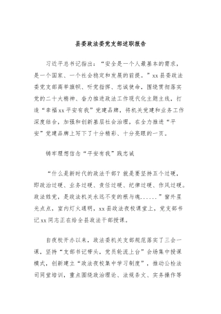 县委政法委党支部述职报告