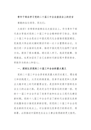 青年干部在学习党的二十届三中全会座谈会上的发言