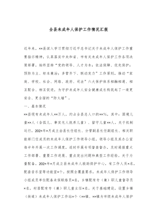 全县未成年人保护工作情况汇报