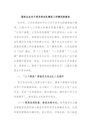 国有企业关于党员突击队建设工作情况的报告