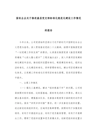 国有企业关于推进基层党支部标准化规范化建设工作情况的报告