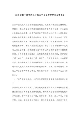 纪检监察干部党的二十届三中全会精神学习心得体会