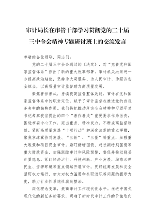 审计局长在市管干部学习贯彻党的二十届三中全会精神专题研讨班上的交流发言
