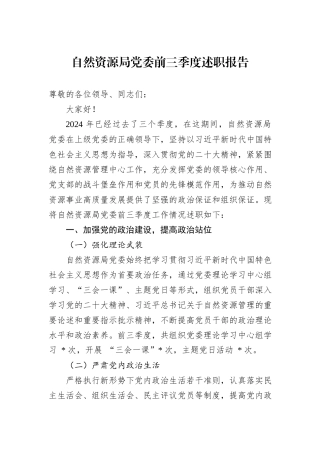 自然资源局党委2024年前三季度述职报告